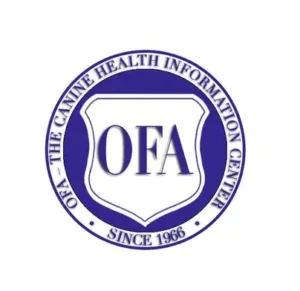 Miniature Schnauzer Inquiries